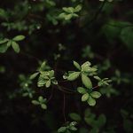 ben-karpinski-uR_pNOruRPk-unsplash