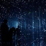 robynne-hu-HOrhCnQsxnQ-unsplash