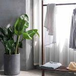 tu-tu-322210-unsplash