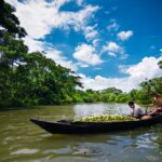 Floating Guava Market