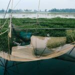 neha-maheen-mahfin-wIjsVouZAzY-unsplash (1)