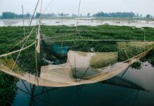 Climate Change in Bangladesh | Global Warming, Climate Crisis & Environmental Risk Climate Stress and Coastal Fragility in Bangladesh