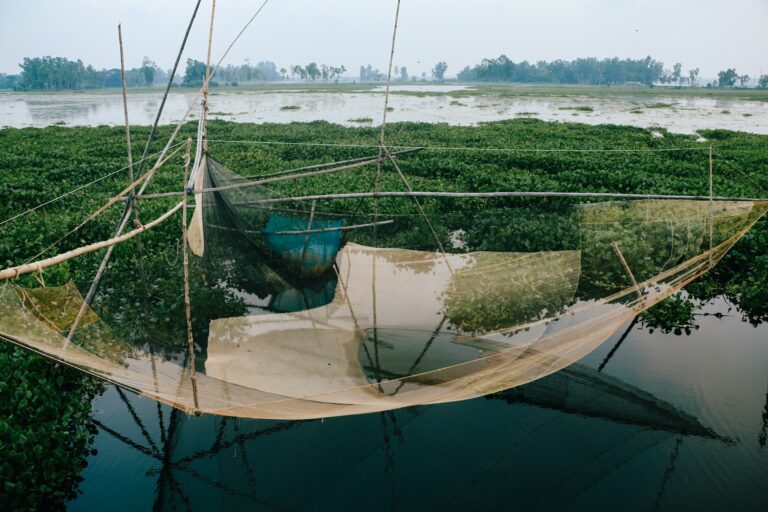 Climate Change in Bangladesh | Global Warming, Climate Crisis & Environmental Risk